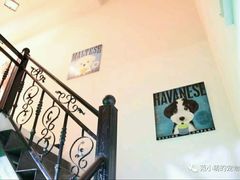 上二楼楼梯-范小萌宠物店(阳光新城竹苑店)