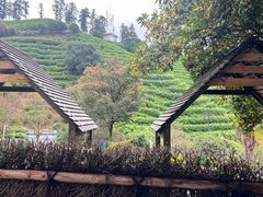 -心无尘茶餐馆(径山村店)