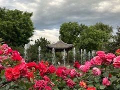 -三里河公园