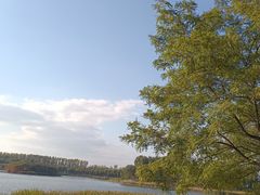 -丁香湖公园