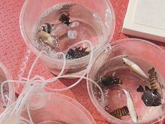 -小猫钓鱼海钓俱乐部(椰梦长廊店)