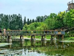 -东郊湿地公园