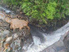 -凤凰山国家森林公园
