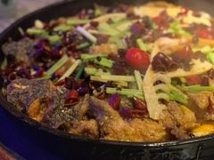 -老板恋上鱼(恒隆广场店)