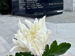 -侵华日军南京大屠杀遇难同胞纪念馆-停车场
