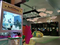 -美食小镇·观赏珍稀鸟类·长隆熊猫酒店