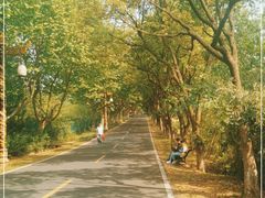 -宜兴龙背山森林公园