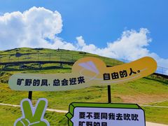 -仰天湖大草原