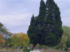 -花溪公园