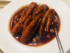 鲍汁凤爪-利苑酒家(金宝店)