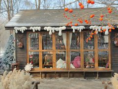 -长白岛森林公园