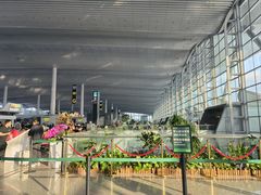 -广州白云国际机场-T2航站楼