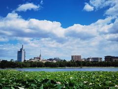 -莲花池公园