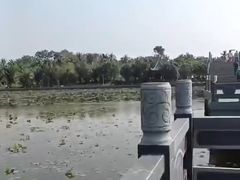 -海口市博物馆