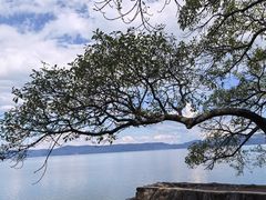 -抚仙湖禄充风景区