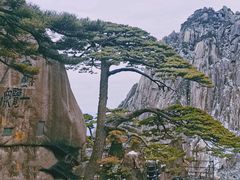 -黄山风景区