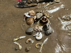 -东戴河风景区-止锚湾