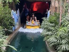 -南宫五洲植物乐园