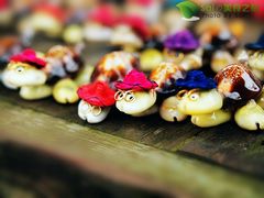 -乌石塘景区