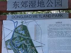 -东郊湿地公园