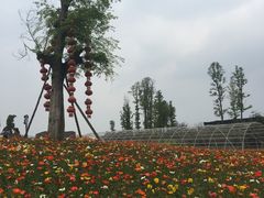 -秀丽东方