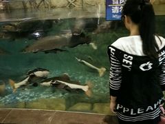-运城海洋馆