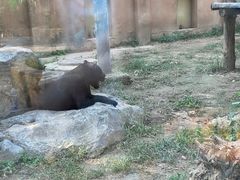 -济南野生动物世界