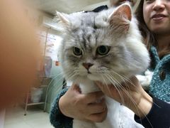 -乐嘟嘟宠物医院