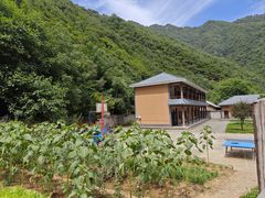 -黑河国家森林公园