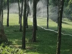 -羊亭河湿地公园