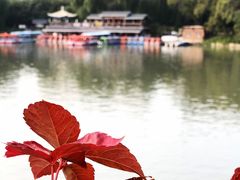 -皇家御河游(紫御湾码头)