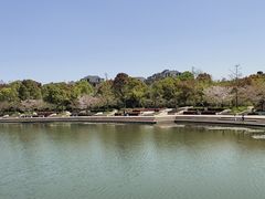 -新江湾城公园