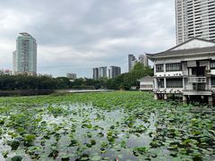 -荔湾湖公园