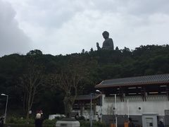-天坛大佛