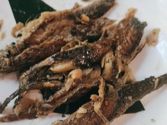 -煎饼卷大葱·非遗传承·潍坊菜(十笏园店)