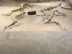 -洛阳周王城天子驾六博物馆