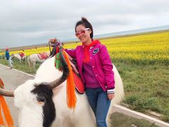 -青海湖国家重点风景名胜区