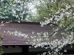 -中国茶叶博物馆(双峰馆区)