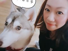 -Husky Go! 哈士奇体验馆·宠物咖啡厅狗咖