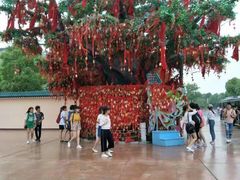 -芜湖方特东方神画