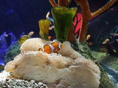 -沈阳海洋探索中心