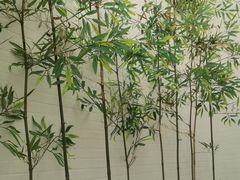 -集贤门·徽菜(南山店)
