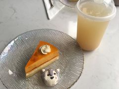 -Husky Go! 哈士奇体验馆·宠物咖啡厅狗咖