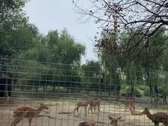 -祥源·阜阳生态乐园