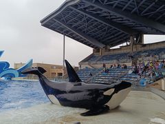 -上海海昌海洋公园