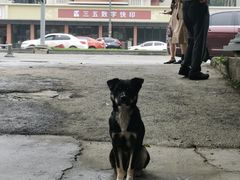 -全味面馆