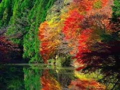 -叠溪松坪沟景区