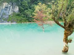 -狮子沟牧场