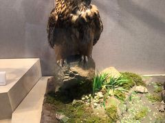 -长江文明馆