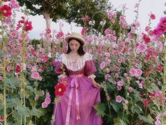 -天津东丽湖风景区